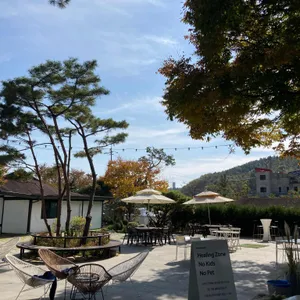 문릿 리뷰 사진