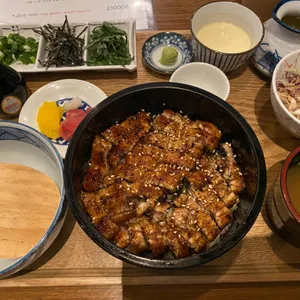 서설 사진