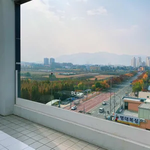 플라플로 리뷰 사진