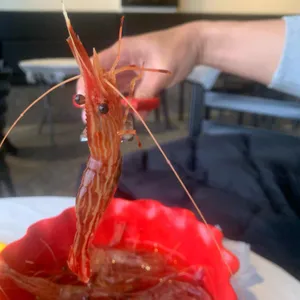 당근마차 사진
