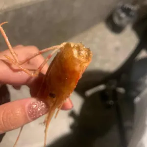 당근마차 사진