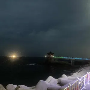 당근마차 리뷰 사진