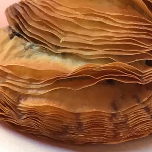 디퍼 카페테리아 사진