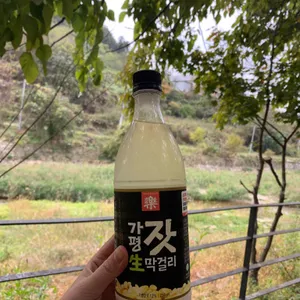 불타는오리 사진