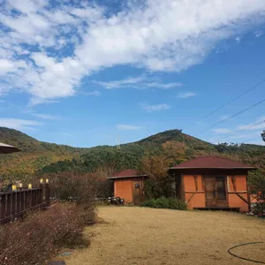 카페해바라기 리뷰 사진