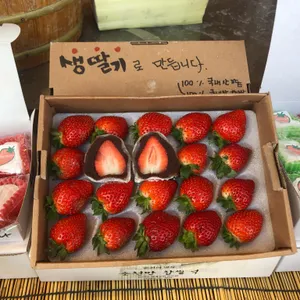 파팔리나 사진