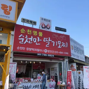 파팔리나 리뷰 사진