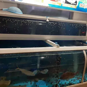 한성식당 리뷰 사진