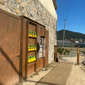 파인에이플러스 리뷰 사진