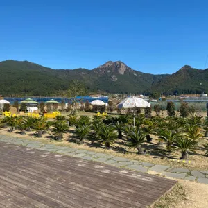 파인에이플러스 리뷰 사진