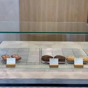 알레그리아 사진