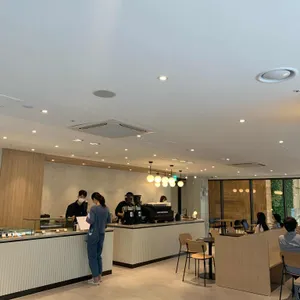 알레그리아 리뷰 사진