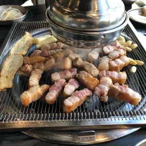 제주퐁낭 사진
