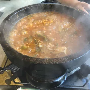 제주퐁낭 사진