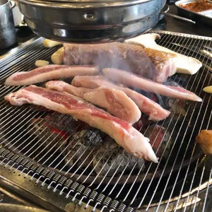 제주퐁낭 사진