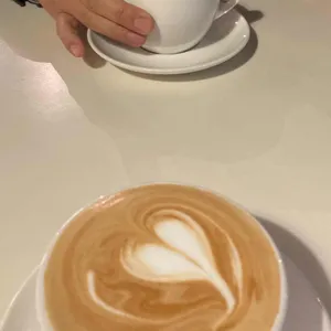 비하인드 사진