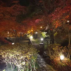 아라비카 리뷰 사진