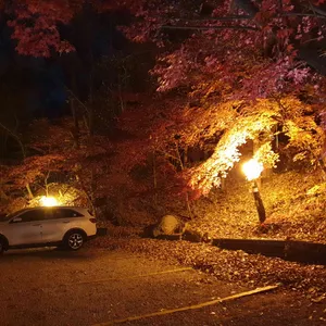 아라비카 리뷰 사진