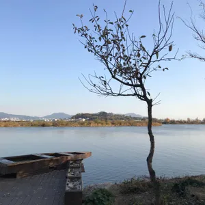 앙로고택 리뷰 사진