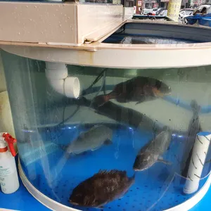 양촌 수산 리뷰 사진