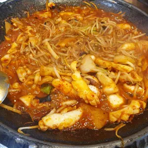 신사동 갑오징어 사진