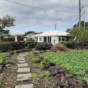 보말이야기 리뷰 사진