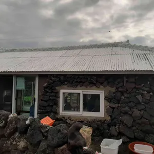 보말이야기 리뷰 사진