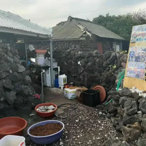 보말이야기 리뷰 사진