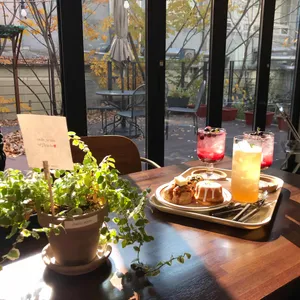 트로스트 사진