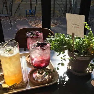 트로스트 사진