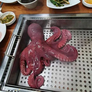 피문어와 회나라 리뷰 사진