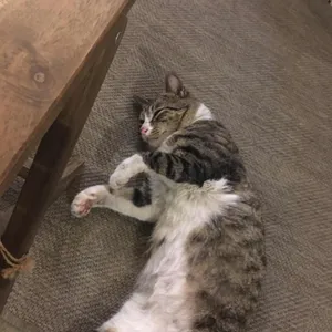 갈십리 리뷰 사진