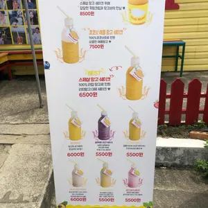 리치망고 리뷰 사진