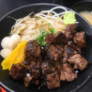 홍대개미 사진