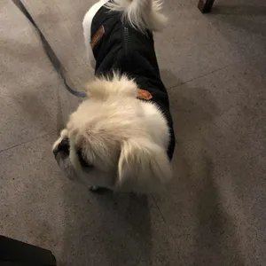 창동닭한마리 리뷰 사진