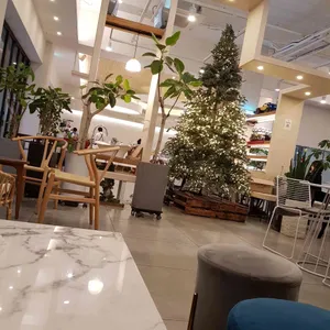 볕이드는곳 벧디 리뷰 사진