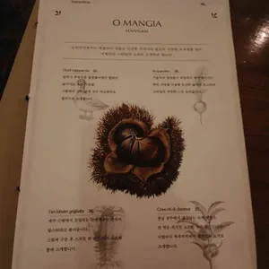 오만지아 리뷰 사진