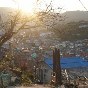 내게와 묵호 리뷰 사진