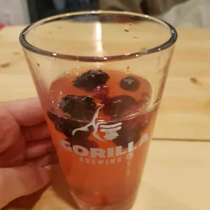 호피홀리데이 사진