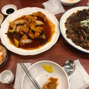 쎄쎄 사진