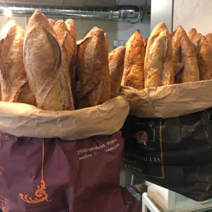 foresti 사진
