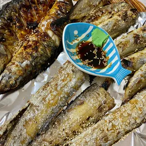 솔밭 사진
