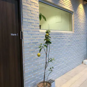 카페 지즈 리뷰 사진