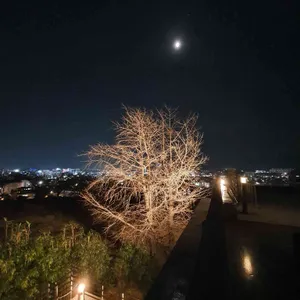 cerro 리뷰 사진