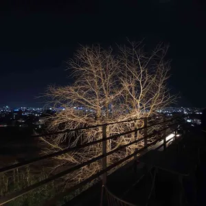 cerro 리뷰 사진