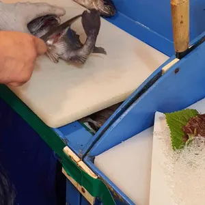 대동원회시장 사진