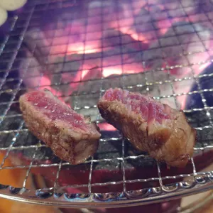우시야 사진