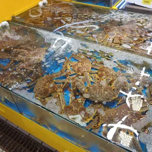 지원이네 리뷰 사진
