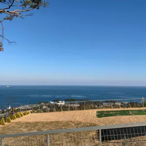 헤이메르 리뷰 사진