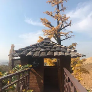 산과구름아래 대표 사진